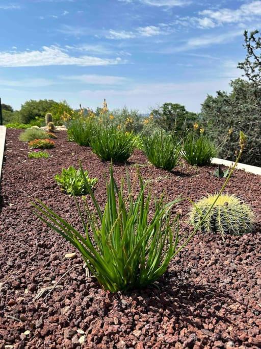 Sous Le « Figuier » Villa Cornillon-Confoux Екстериор снимка